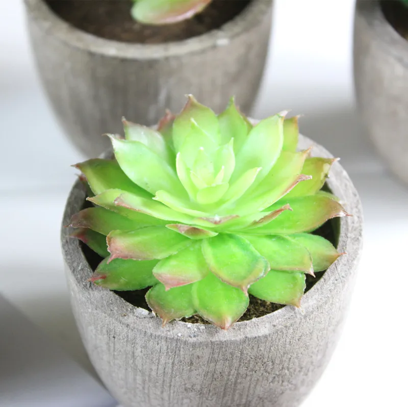 artificial succulent (5).jpg