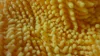 Microfiber 550gsm Yellow 150cm Width 100% Polyester Small Chenille Fabric