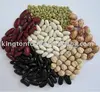 pinto beans