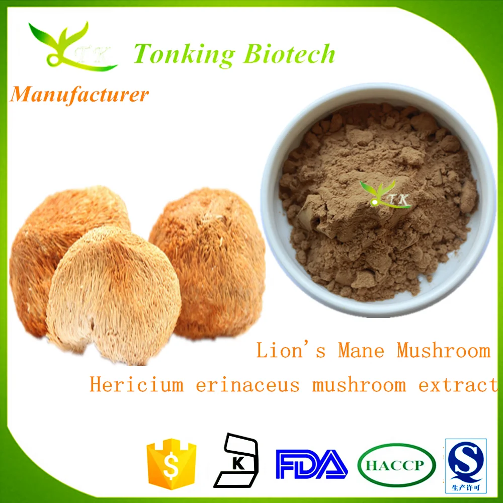 Hericium Erinaceus Extract/lions Mane Mushroom Extract /hericium