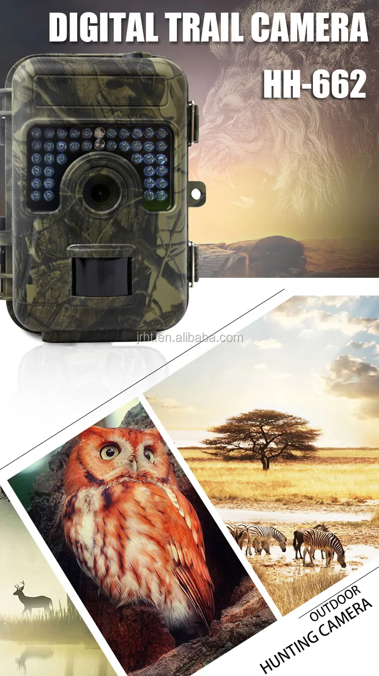 1080p Hd Night Vision Animal Surveillance Security Wide Angle Lens