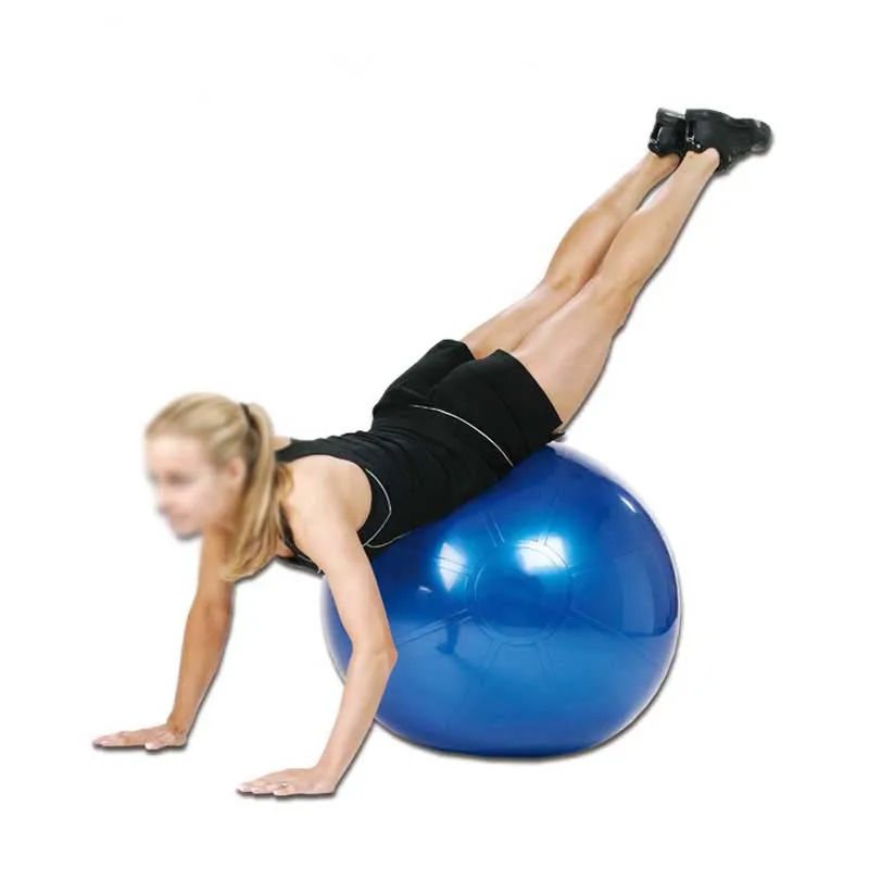 all industries  sports & entertainment  fitness & body building