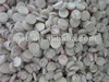 natural trocas/trochus shell button blank for shirt button making