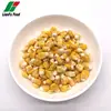 Organic FD vegetables dehydrated freeze dried yellow corn