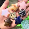 Wholesale Natural Crystal Star Quartz Healing Crystal Carving Lucky Star