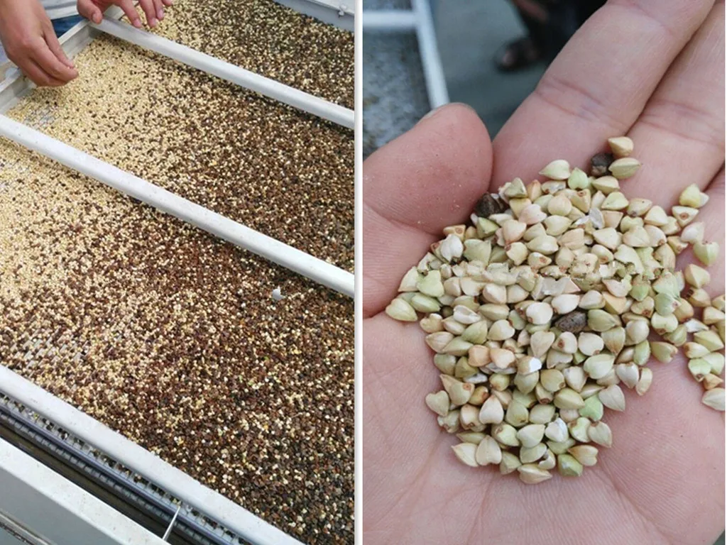 TTKS-30Q High Efficient Buckwheat Sheller Buckwheat Seeds Dehulling Machine