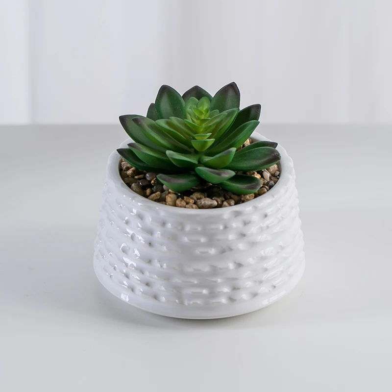Wholesale Custom Artificial Potted Lifelike Plastic Succulent Green