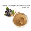 High Quality siberian ginseng p.e