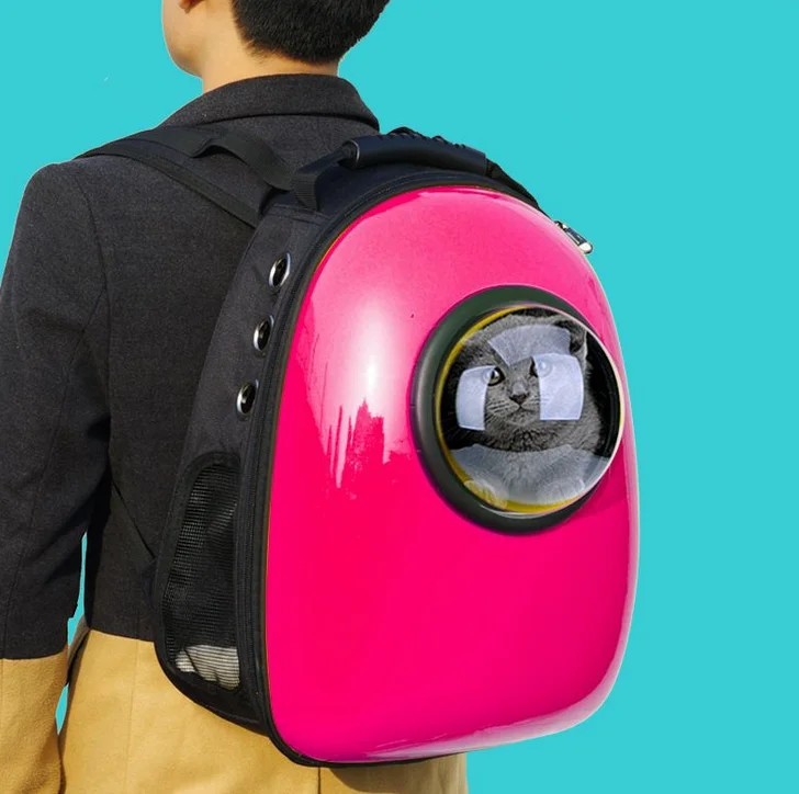 dog backpack capsule