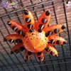EXQUISITE CRAFT 2m inflatable hanging orange flower air blow customized flower