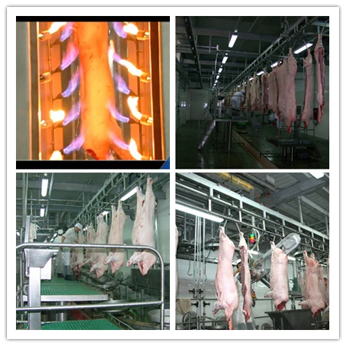 Pig slaughtering equipment sow slaughtering machine seeding slaughterhouse