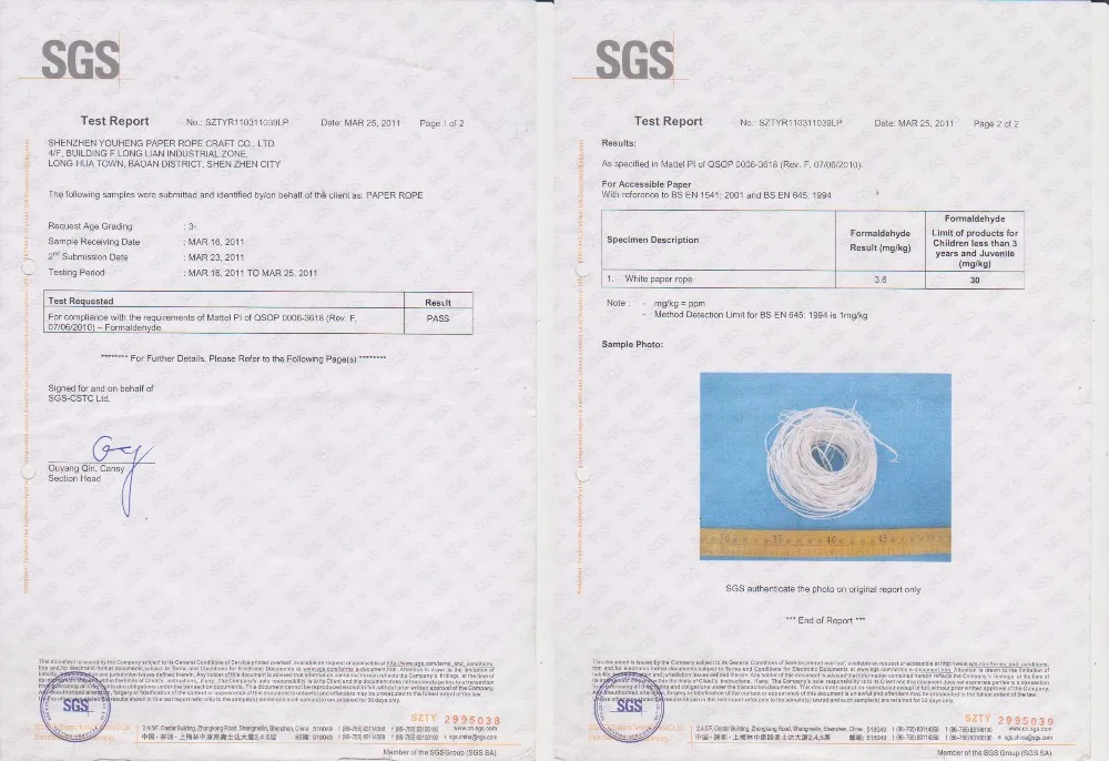 SGS1.jpg
