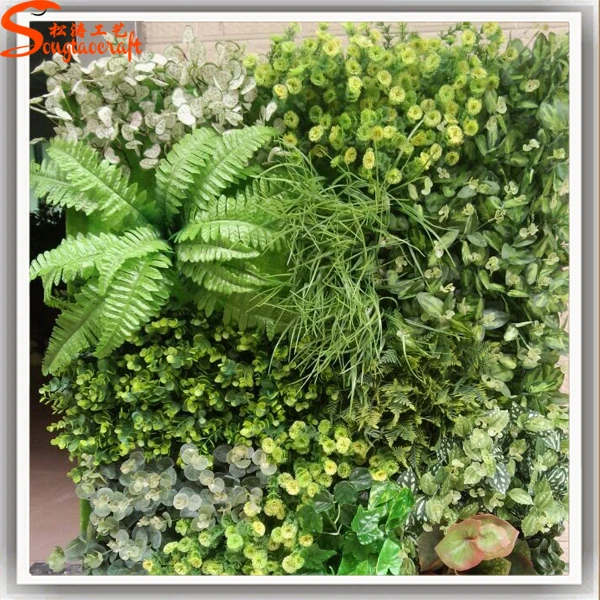 popular different plants according to your needs vertical garden popular different plants according to your needs vertical garden