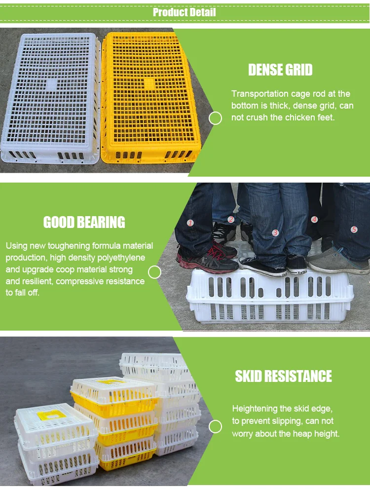 Plastic Live Chicken Transport Cage Poultry Transport Crate Buy