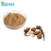 SOST China Manufacturer Supply Polygonum Multiflorum Extract