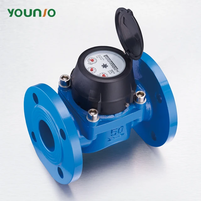 Younio Removable Element Waltman Turbo 3 Inch Water Meter,Large