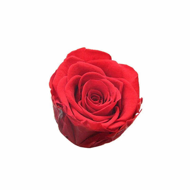 Wholesale A Grade Yunnan Fancyrose Brand 56cm Diameter Preserved Roses