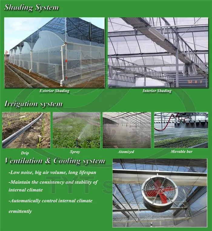 factory direct sale green houses agriculture