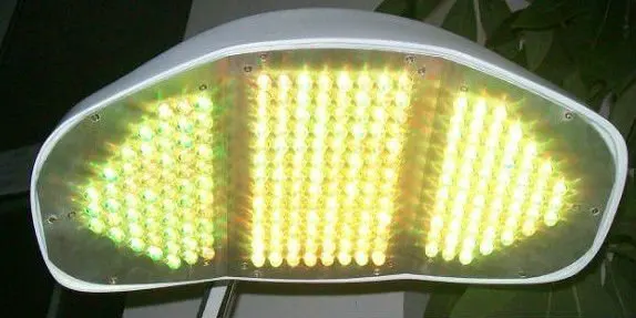 pdt maskt6.jpg