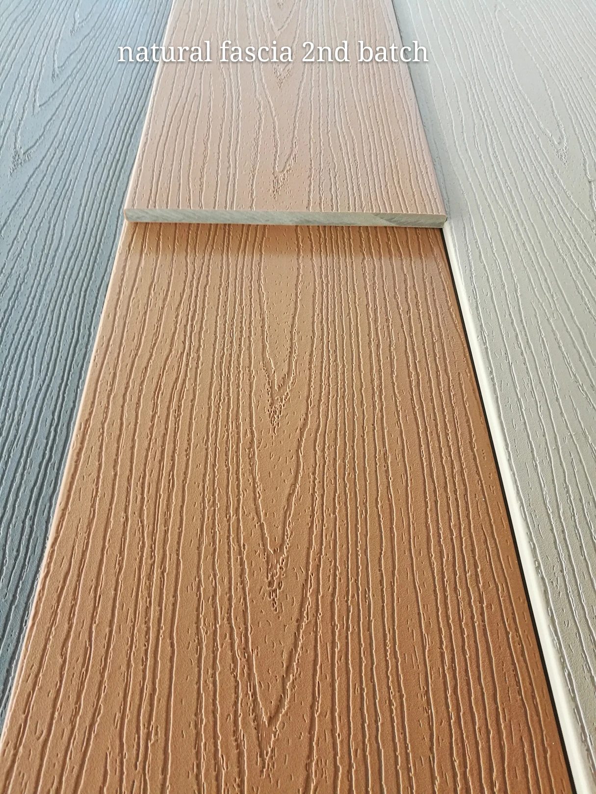 Alex Fascia color (7).jpg