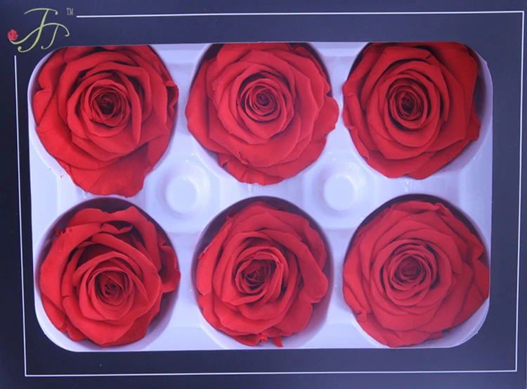 stabilized flower.jpg