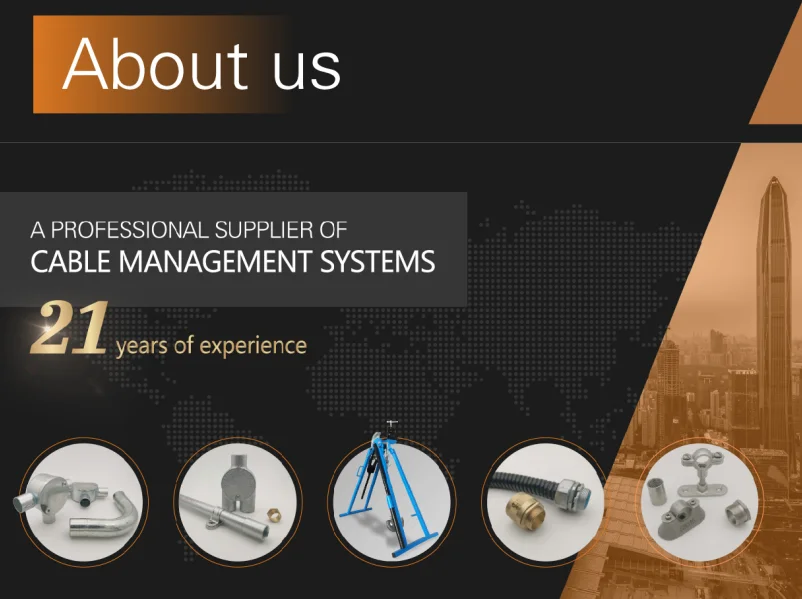 company information 1