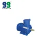 YB2 Series Explosion-Proof Three-phase Asynchronous Motor