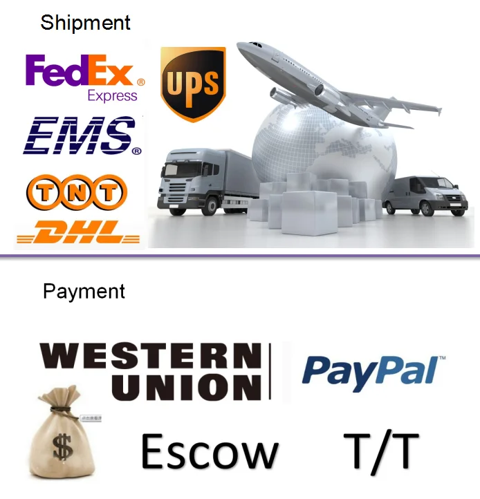 Payment & Shippment