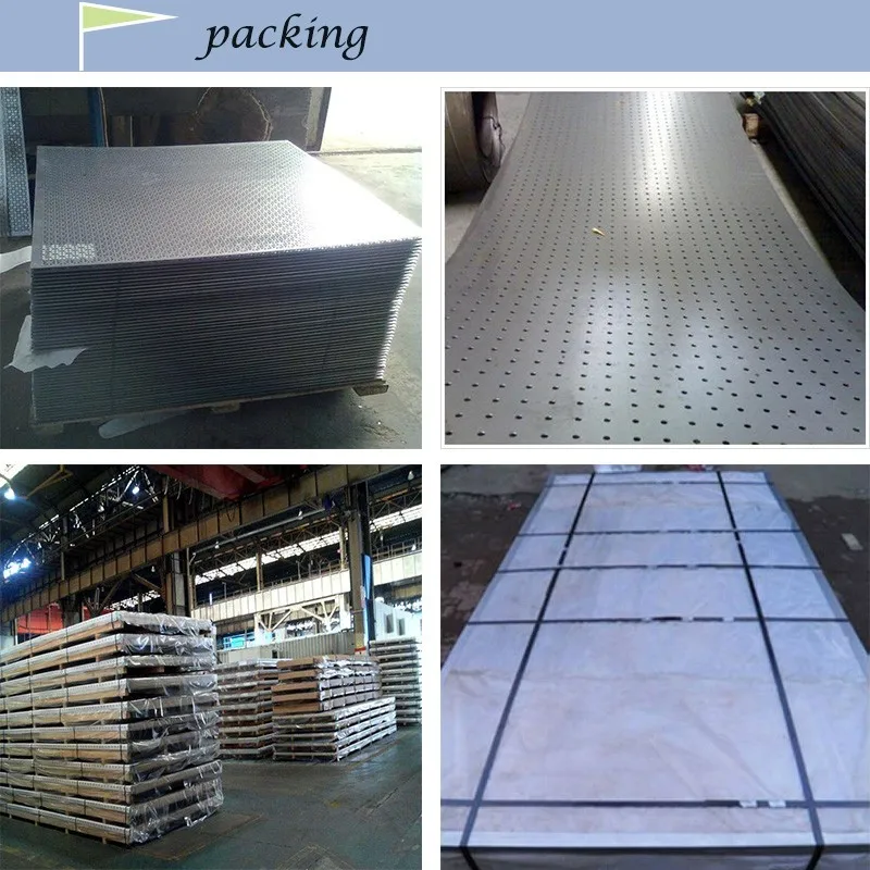 Filter Mesh Perforated Metal / Punched Hole Metal Sheet / Iron Plate