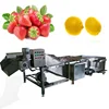 Air Zone Automatic fruit strawberry apple date lemon Air bubble Washing Machine Line low price