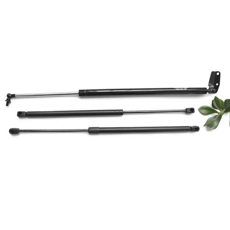gas spring---.jpg