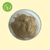 Factory Supply 100000U/G Enzyme Activity Glucoamylase Enzyme