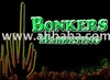 Custom Facebook Business Pages