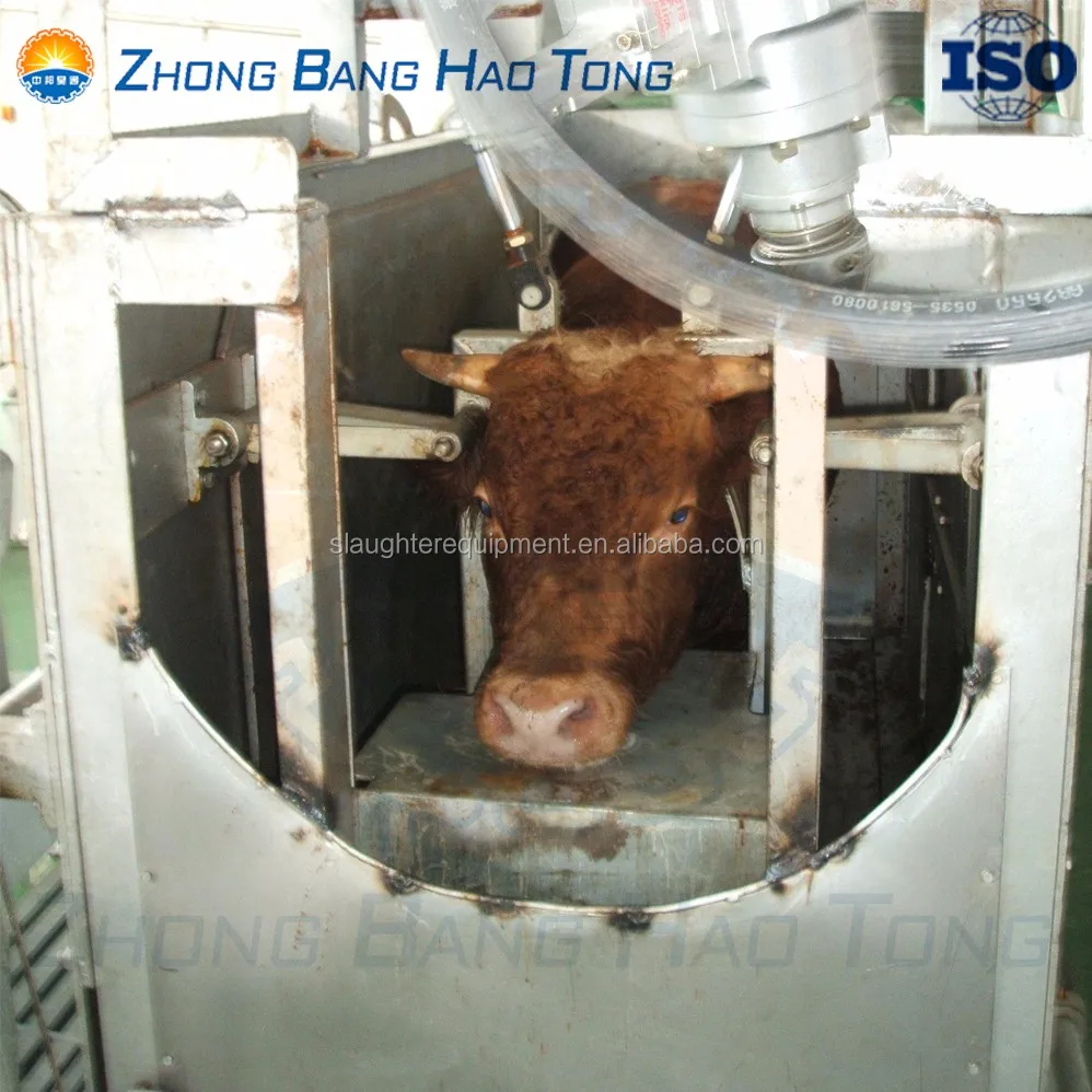Halal Cattle Slaughter Equipment Rotary Ritual Killing Box For Abattoir