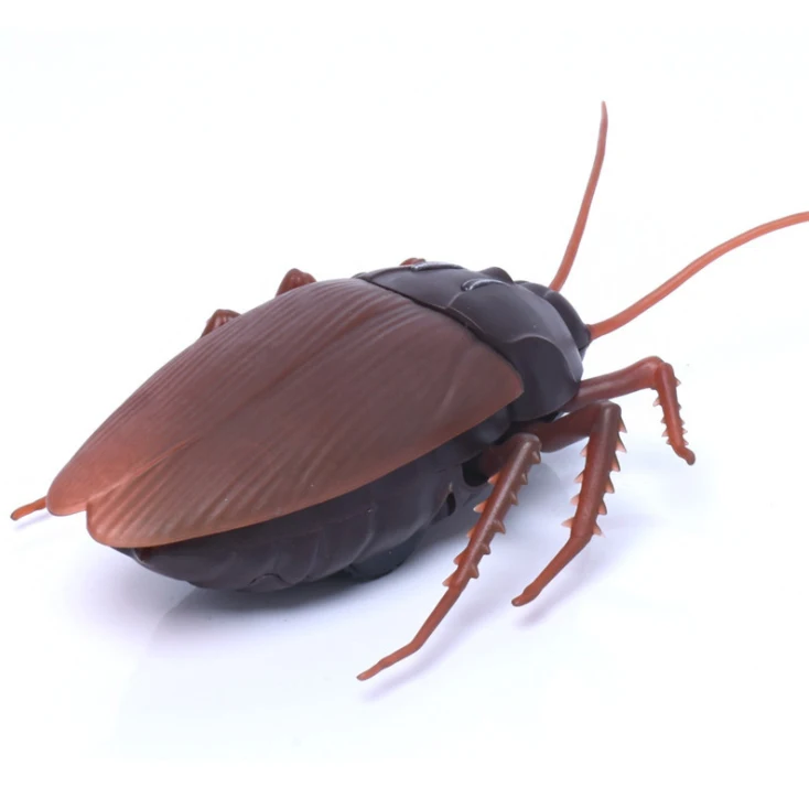 Simulation Giant Remote Control Toy Infrared Rc Cockroach Toy - Buy 