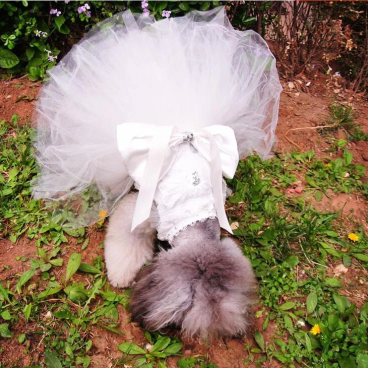 dog Wedding Dress-3.jpg