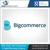 Professional/User Friendly BigCommerce - Online Commerce Website Developers