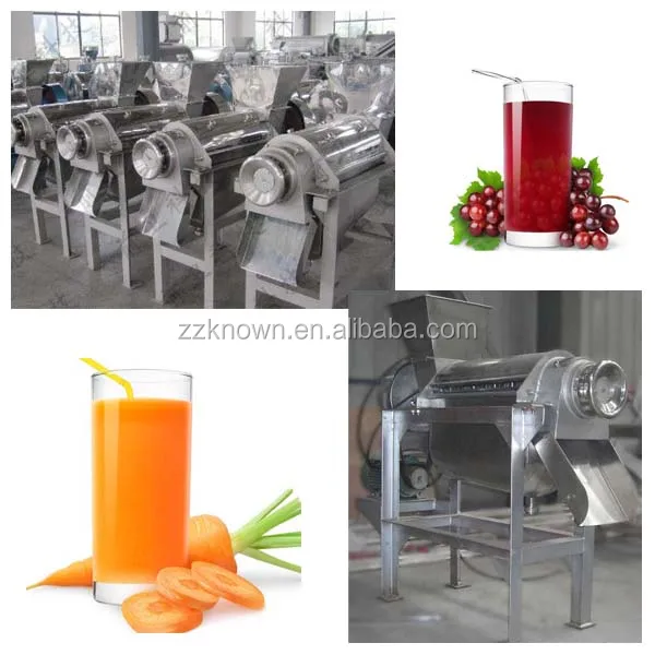 Fruit Press/industrial Fruit Press/fruit And Vegetable Screw Juicer