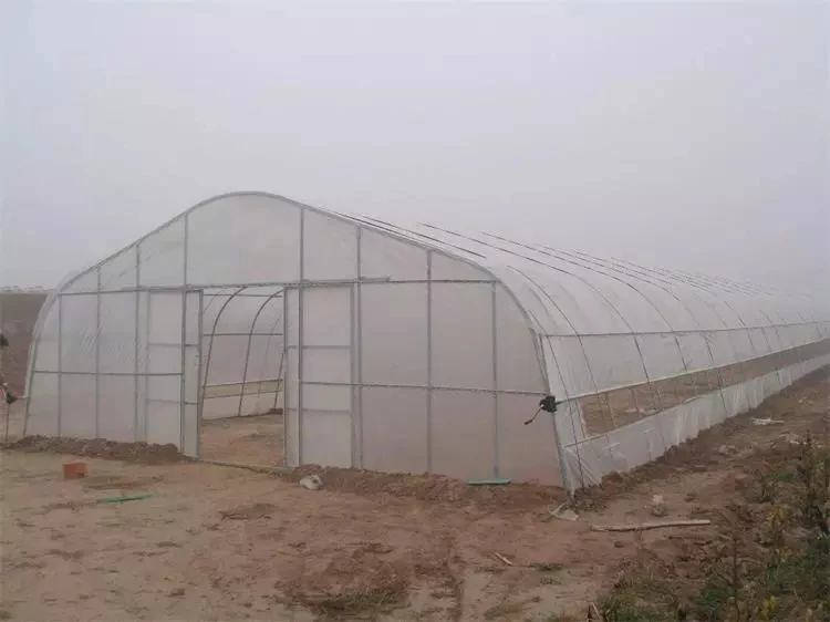 Film Tunnel Greenhouse/hoop Greenhouse/garden Greenhouse For Seedlings Vegetables Flowers Buy