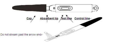 Women use Menopause rapid test kit / FSH rapid test midstream