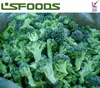 New Crop Frozen Broccoli IQF Broccoli Brocoli Made in China