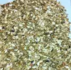 WATERMELON SEED
