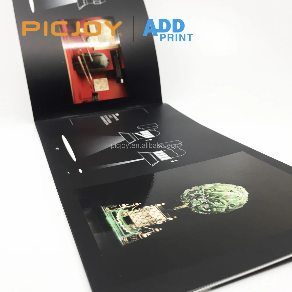 BC Saddle 3156 20160228-4.jpg