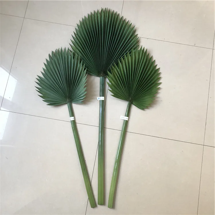 palm tree leaves (18).jpg
