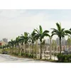 wholesale plastic coconut tree artificial coconut palm tree