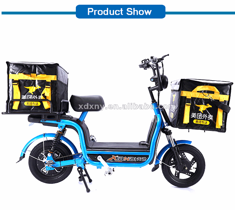 electric cycle with carrier