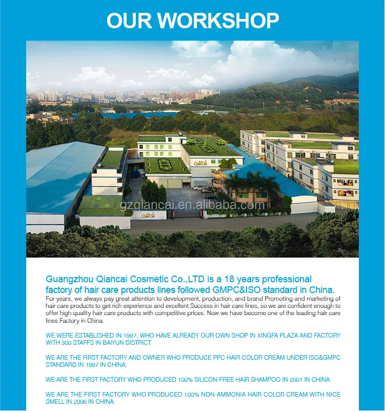 PPC Professional Private Label Organic Salon Use Cold Wave Digital Hair Perm Lotion