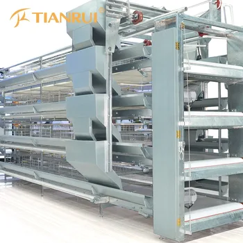 Chicken house designs in uganda Success of community initiatives sets positive agenda for new year