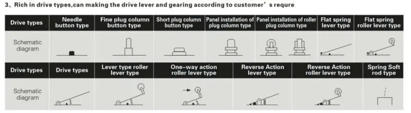 Z TYPE MICRO SWITCH 3.jpg