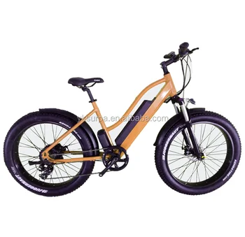 street ebike